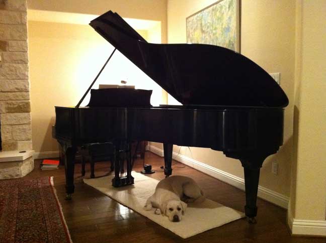 Steinway piano at home